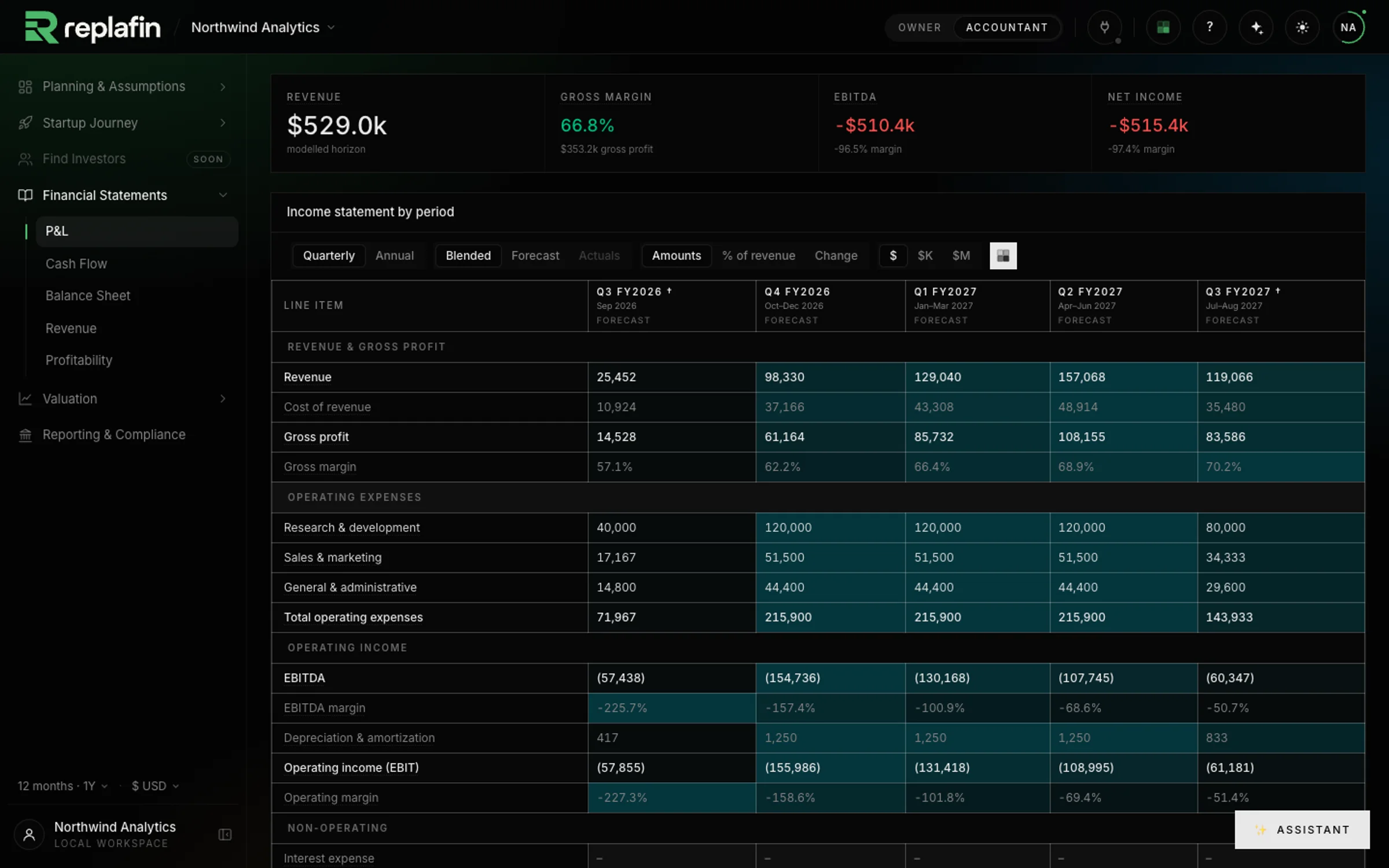 The P&L page: revenue, gross profit, operating expenses by function and operating income by quarter.