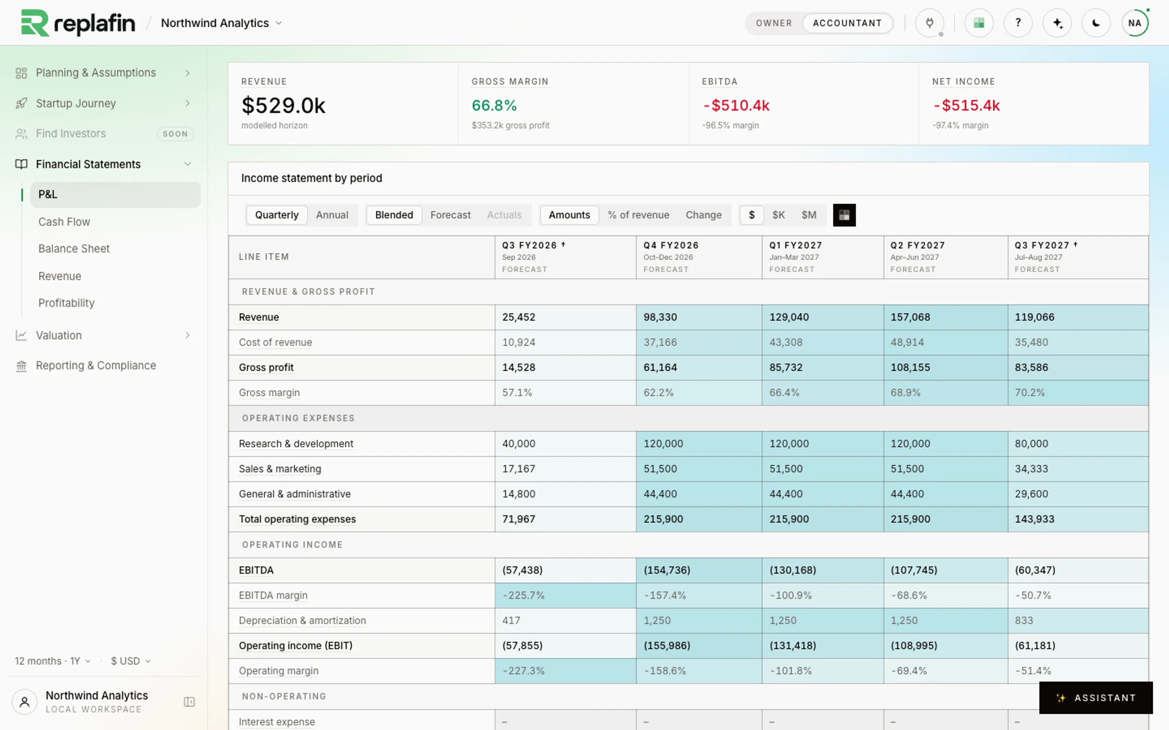 The P&L page: revenue, gross profit, operating expenses by function and operating income by quarter.